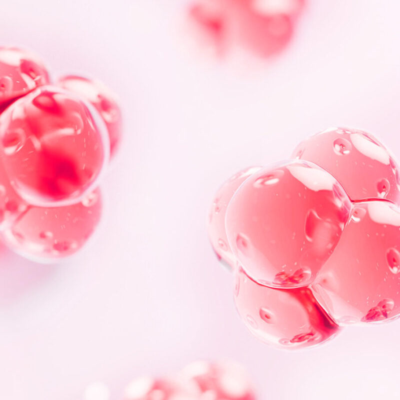 Lon.G Pink Apple Pure Jelly Oil Cleanser ingredient and benefit detail