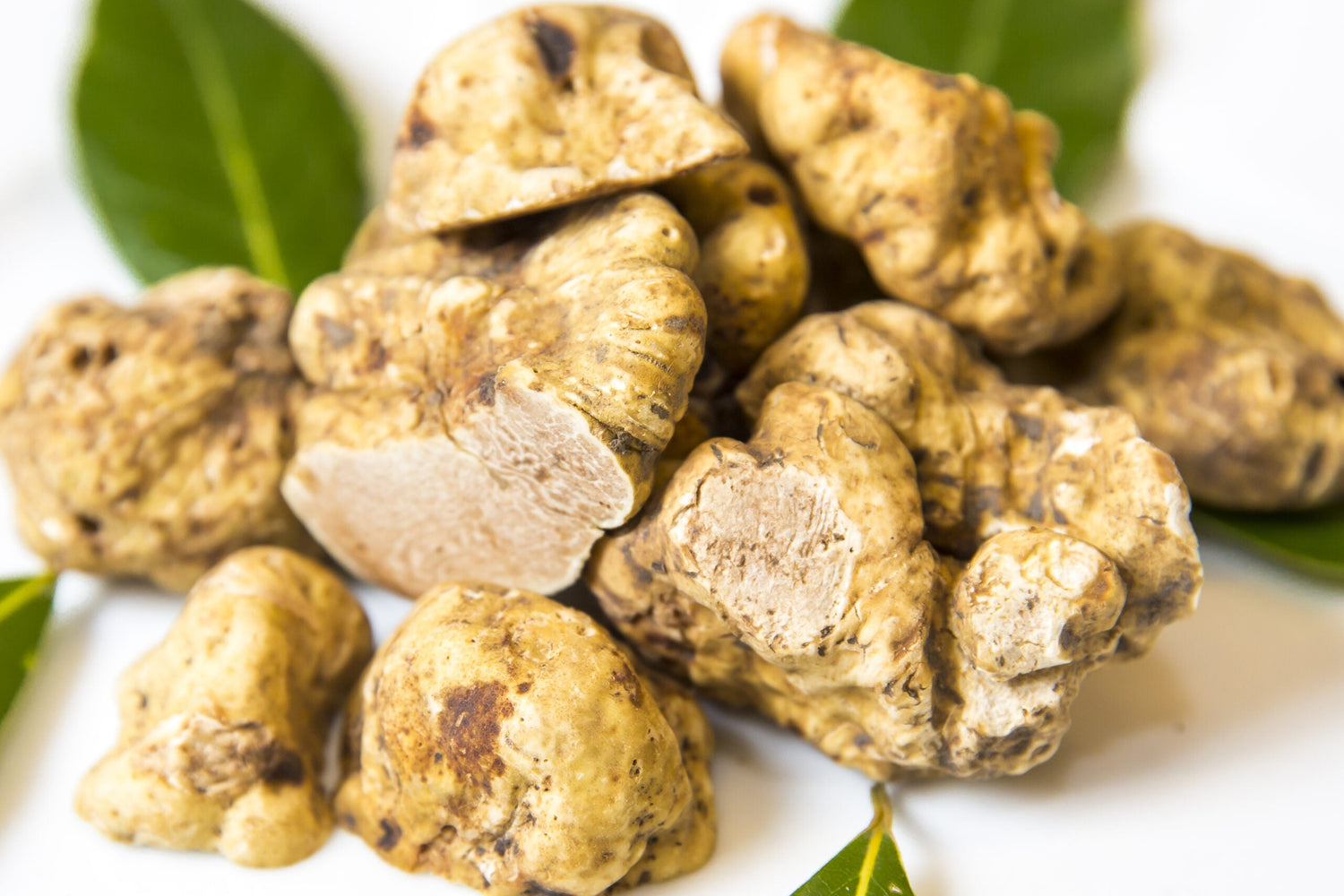 White truffle facial gel spray ByeoLee Muto gel mist Truffle